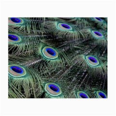 Plumage Peacock Feather Colorful Small Glasses Cloth by Sapixe