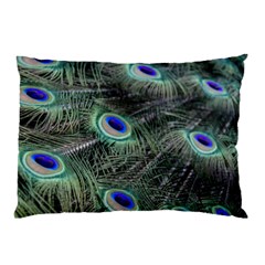 Plumage Peacock Feather Colorful Pillow Case by Sapixe