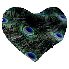 Plumage Peacock Feather Colorful Large 19  Premium Heart Shape Cushions by Sapixe