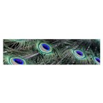 Plumage Peacock Feather Colorful Oblong Satin Scarf (16  x 60 ) Front