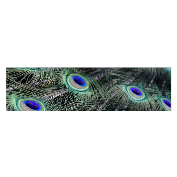 Plumage Peacock Feather Colorful Oblong Satin Scarf (16  x 60 )