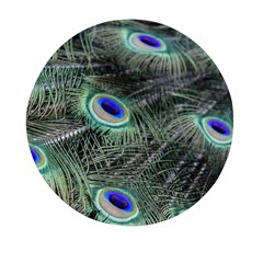 Plumage Peacock Feather Colorful Mini Round Pill Box by Sapixe