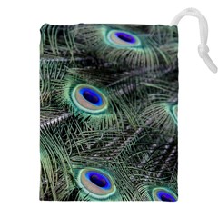 Plumage Peacock Feather Colorful Drawstring Pouch (4xl) by Sapixe