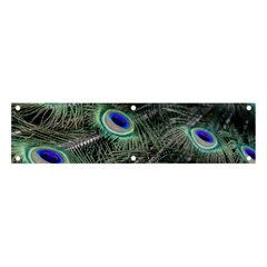 Plumage Peacock Feather Colorful Banner And Sign 4  X 1 