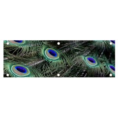 Plumage Peacock Feather Colorful Banner And Sign 6  X 2  by Sapixe