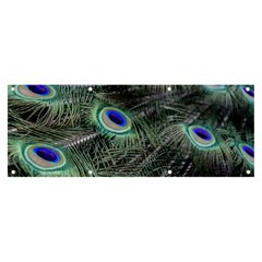 Plumage Peacock Feather Colorful Banner And Sign 8  X 3  by Sapixe