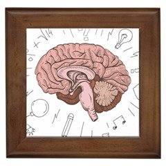 Cerebrum Human Structure Cartoon Human Brain Framed Tile by Sapixe