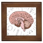 Cerebrum Human Structure Cartoon Human Brain Framed Tile Front