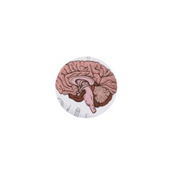 Cerebrum Human Structure Cartoon Human Brain 1  Mini Magnets by Sapixe