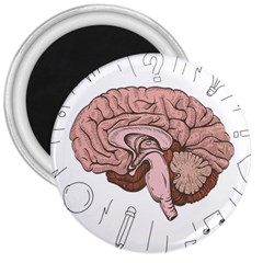 Cerebrum Human Structure Cartoon Human Brain 3  Magnets by Sapixe