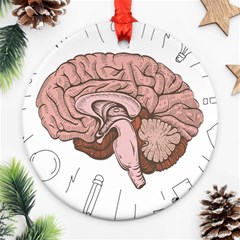 Cerebrum Human Structure Cartoon Human Brain Ornament (round) by Sapixe