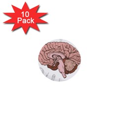 Cerebrum Human Structure Cartoon Human Brain 1  Mini Buttons (10 Pack)  by Sapixe