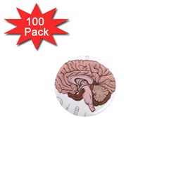 Cerebrum Human Structure Cartoon Human Brain 1  Mini Magnets (100 Pack)  by Sapixe