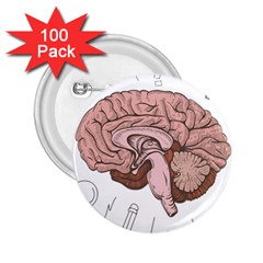 Cerebrum Human Structure Cartoon Human Brain 2 25  Buttons (100 Pack)  by Sapixe