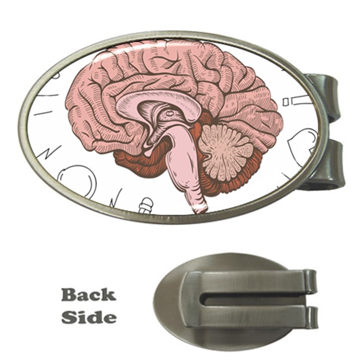 Cerebrum Human Structure Cartoon Human Brain Money Clips (Oval) 