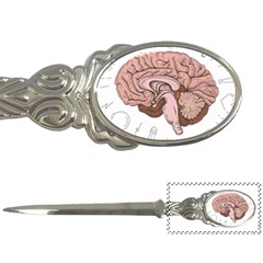 Cerebrum Human Structure Cartoon Human Brain Letter Opener by Sapixe