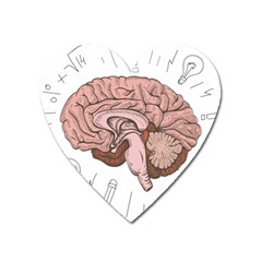 Cerebrum Human Structure Cartoon Human Brain Heart Magnet by Sapixe