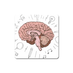 Cerebrum Human Structure Cartoon Human Brain Square Magnet by Sapixe