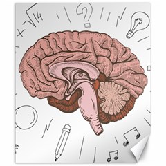 Cerebrum Human Structure Cartoon Human Brain Canvas 20  X 24  by Sapixe