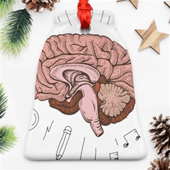 Cerebrum Human Structure Cartoon Human Brain Bell Ornament (two Sides) by Sapixe