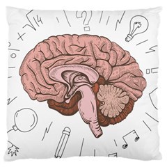 Cerebrum Human Structure Cartoon Human Brain Standard Flano Cushion Case (two Sides) by Sapixe