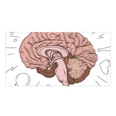 Cerebrum Human Structure Cartoon Human Brain Satin Shawl 45  X 80  by Sapixe