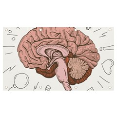 Cerebrum Human Structure Cartoon Human Brain Banner And Sign 7  X 4 