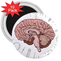 Cerebrum Human Structure Cartoon Human Brain 3  Magnets (10 Pack)  by Sapixe