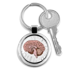 Cerebrum Human Structure Cartoon Human Brain Key Chain (round) by Sapixe