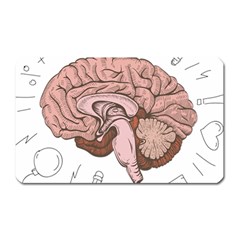 Cerebrum Human Structure Cartoon Human Brain Magnet (rectangular) by Sapixe