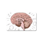 Cerebrum Human Structure Cartoon Human Brain Magnet (Name Card) Front