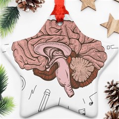 Cerebrum Human Structure Cartoon Human Brain Star Ornament (two Sides)