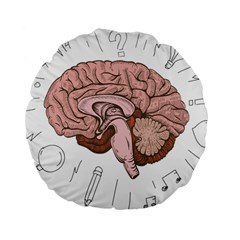 Cerebrum Human Structure Cartoon Human Brain Standard 15  Premium Flano Round Cushions by Sapixe