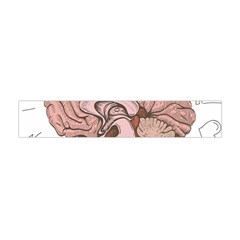 Cerebrum Human Structure Cartoon Human Brain Flano Scarf (mini) by Sapixe