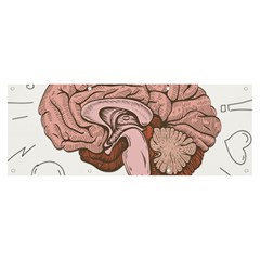 Cerebrum Human Structure Cartoon Human Brain Banner And Sign 8  X 3 