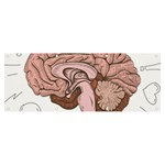 Cerebrum Human Structure Cartoon Human Brain Banner and Sign 8  x 3  Front