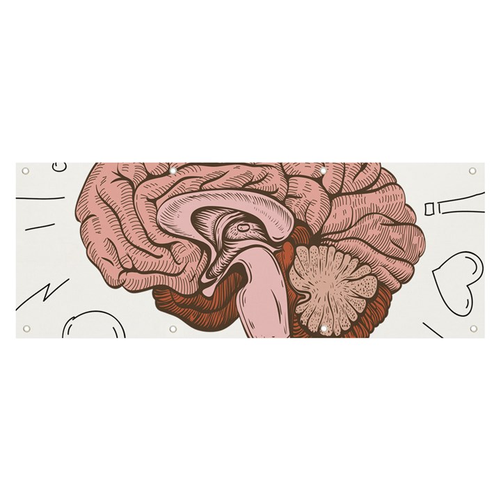 Cerebrum Human Structure Cartoon Human Brain Banner and Sign 8  x 3 