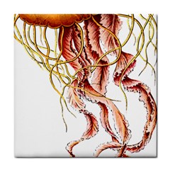 Animal Art Forms In Nature Jellyfish Tile Coaster by Sapixe