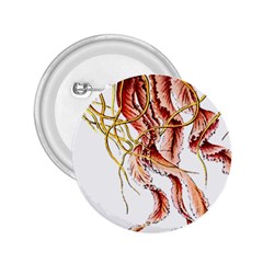 Animal Art Forms In Nature Jellyfish 2.25  Buttons