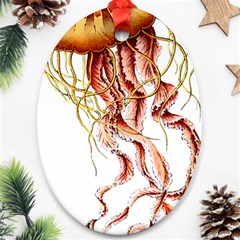 Animal Art Forms In Nature Jellyfish Ornament (oval)