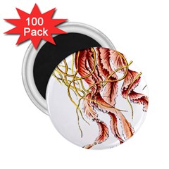 Animal Art Forms In Nature Jellyfish 2.25  Magnets (100 pack) 