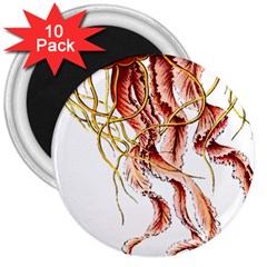 Animal Art Forms In Nature Jellyfish 3  Magnets (10 pack) 