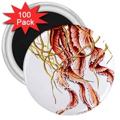 Animal Art Forms In Nature Jellyfish 3  Magnets (100 Pack) by Sapixe