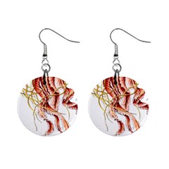 Animal Art Forms In Nature Jellyfish Mini Button Earrings