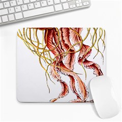 Animal Art Forms In Nature Jellyfish Large Mousepads