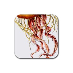 Animal Art Forms In Nature Jellyfish Rubber Coaster (Square)