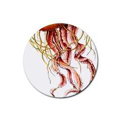 Animal Art Forms In Nature Jellyfish Rubber Coaster (Round)