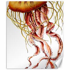 Animal Art Forms In Nature Jellyfish Canvas 8  x 10 