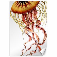 Animal Art Forms In Nature Jellyfish Canvas 20  x 30 