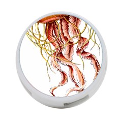 Animal Art Forms In Nature Jellyfish 4-port Usb Hub (two Sides) by Sapixe